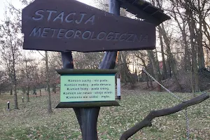 Park Edukacji Przyrodniczo-Leśnej im. św. Huberta w Żołędowie image