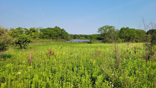 Nature Preserve «McDonald Woods Forest Preserve», reviews and photos, 19611 W Grass Lake Rd, Lake Villa, IL 60046, USA