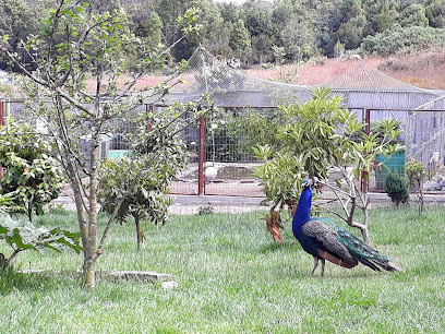 Parque Aviario y criadero de Aves