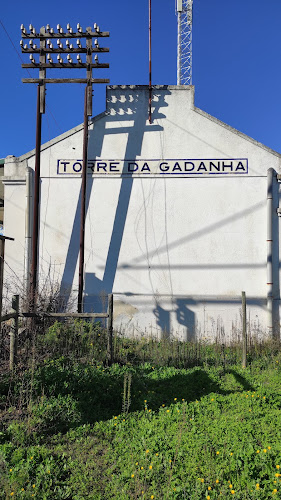 Torre da Gadanha - Montemor-o-Novo