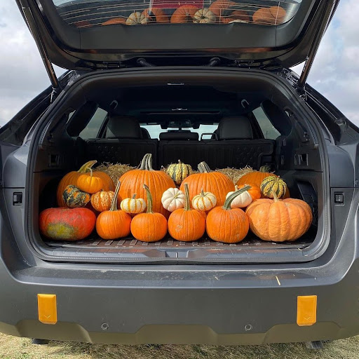 Subaru Dealer «Flemington Subaru», reviews and photos, 167 NJ-31, Flemington, NJ 08822, USA