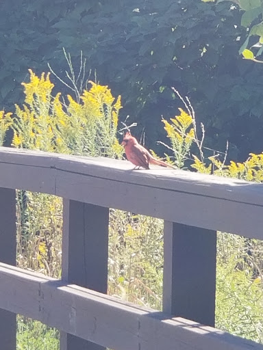 Park «Cleveland Metroparks», reviews and photos, 1969 W Ridgewood Dr, Cleveland, OH 44134, USA