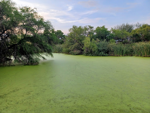 Sweetwater Wetlands Park