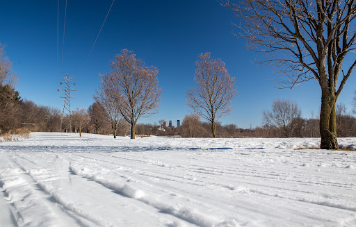 Park «Theodore Wirth Regional Park», reviews and photos, 1339 Theodore Wirth Pkwy, Golden Valley, MN 55422, USA