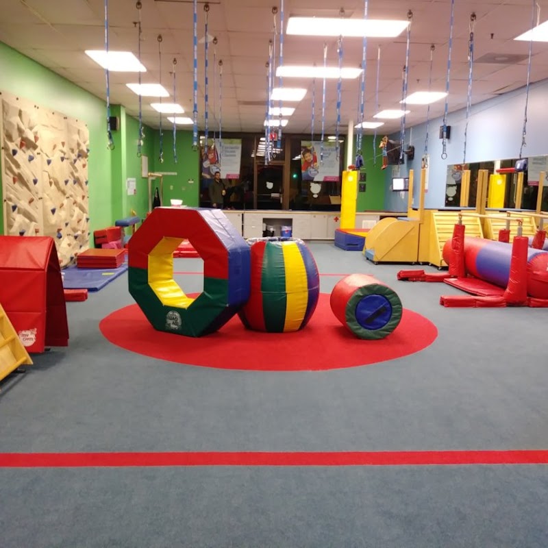 My Gym Children's Fitness Center