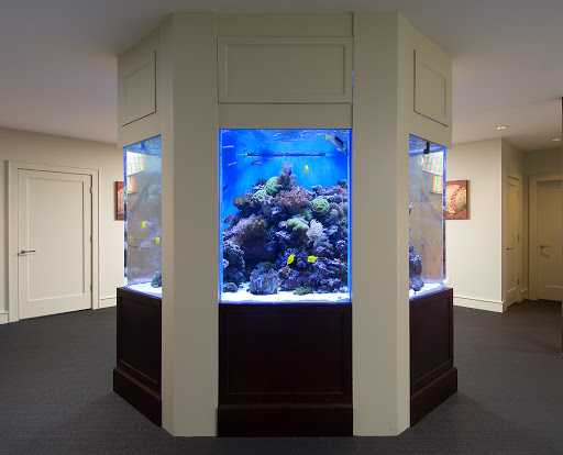 Tropical Fish Store «House of Fins», reviews and photos, 99 Bruce Park Ave, Greenwich, CT 06830, USA