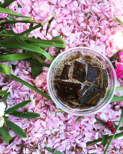 Coffee Shop «Handlebar Cafe», reviews and photos, 15 Washington St, Nantucket, MA 02554, USA