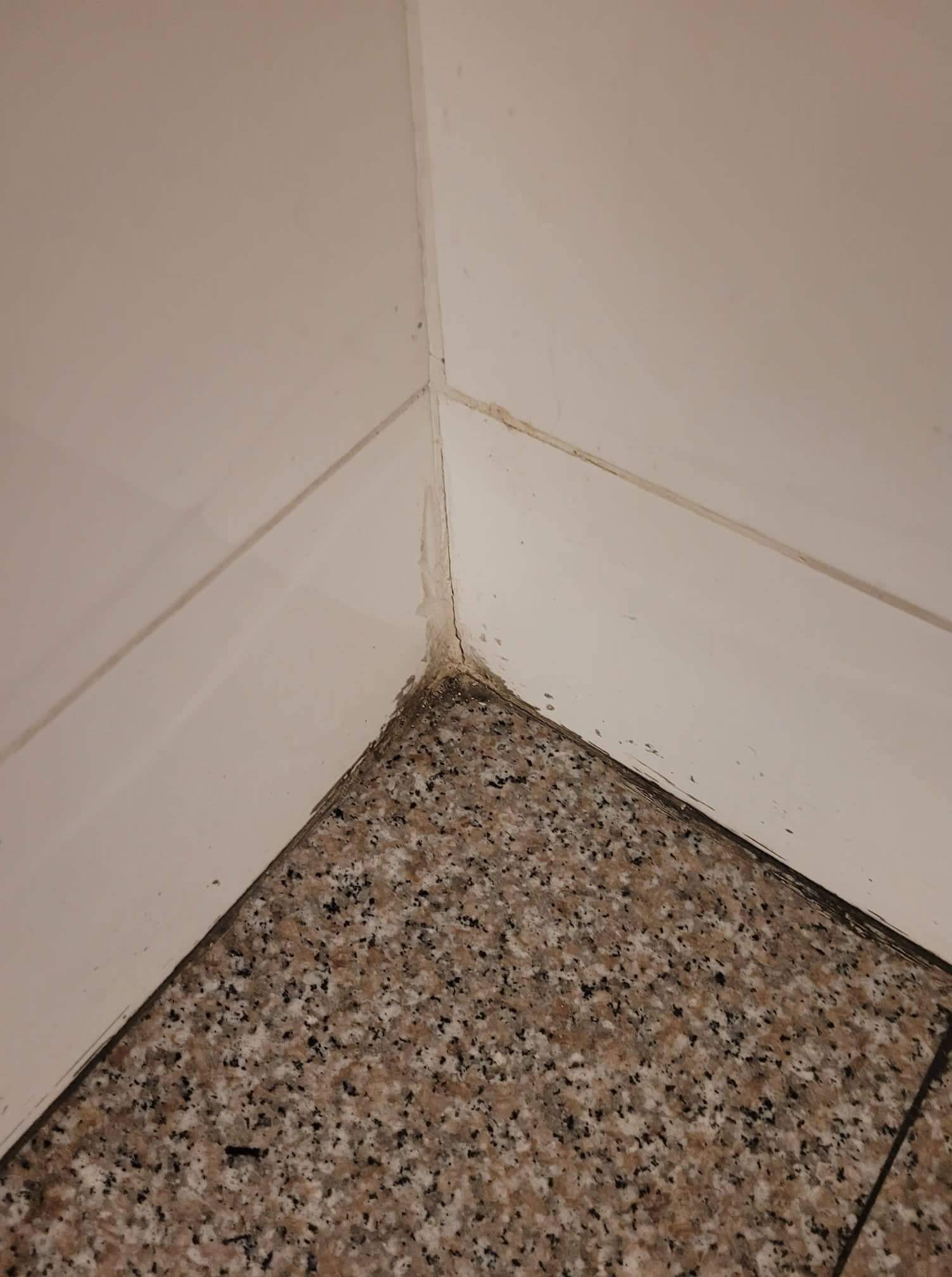 Photo n° 2 de l'avis de Armeline.u fait le 11/11/2021 à 20:25