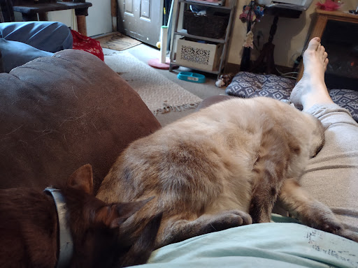 Humane Society of Wayne County