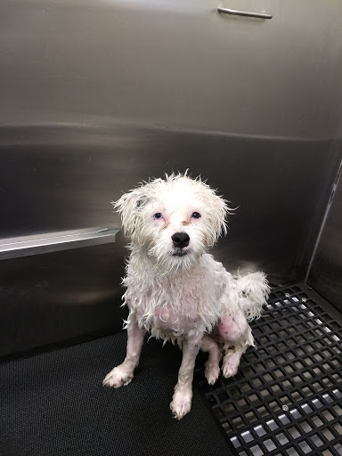 Pet Supply Store «Pet Supplies Plus», reviews and photos, 350 Ramapo Valley Rd #28, Oakland, NJ 07436, USA