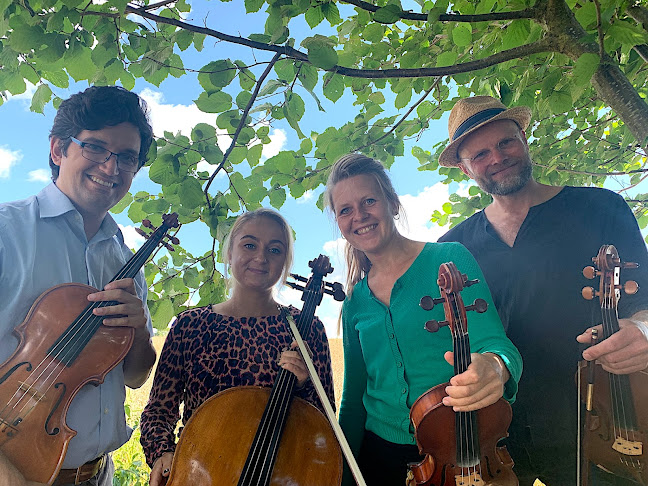 Anmeldelser af Danish Fiddle Quartet i Odense - Musikbutik