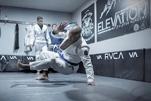 Elevation Jiu-Jitsu Academy LLC image