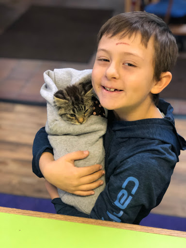 Pet Supply Store «Stately Pet Supply», reviews and photos, 515 S State St, Clarks Summit, PA 18411, USA