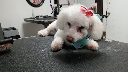 Petite Pets Grooming, Boarding & Daycare