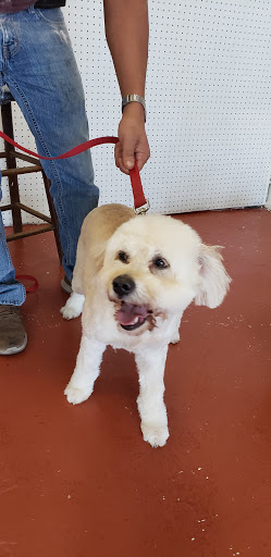 Pet Supply Store «The Dog House», reviews and photos, 4237 S Alameda St, Corpus Christi, TX 78412, USA