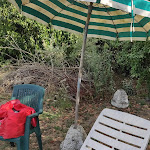 Photo n°1 de l'avis de Sergio.o fait le 09/08/2021 à 15:15 sur le  Airone Pisa Park Hotel à Asciano Pisano