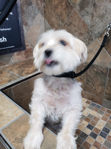 Pet Supply Store «Pet Valu», reviews and photos, 411 Valley Brook Ave, Lyndhurst, NJ 07071, USA