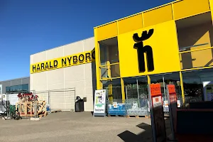 Harald Nyborg image