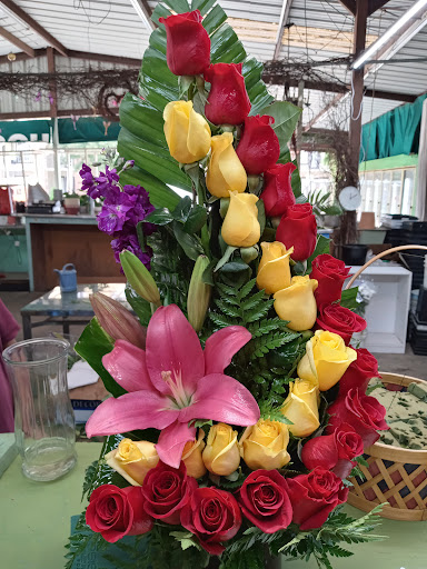 Florist «TGF Flowers», reviews and photos, 3902 Fannin St, Houston, TX 77004, USA