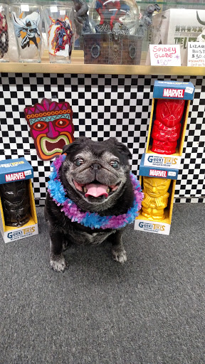 Comic Book Store «Alter Ego Comics», reviews and photos, 331 7th Ave, Marion, IA 52302, USA