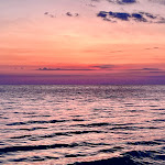 Photo n°1 de l'avis de Alessia.i fait le 08/04/2023 à 20:47 sur le  La Conchiglia à Vada