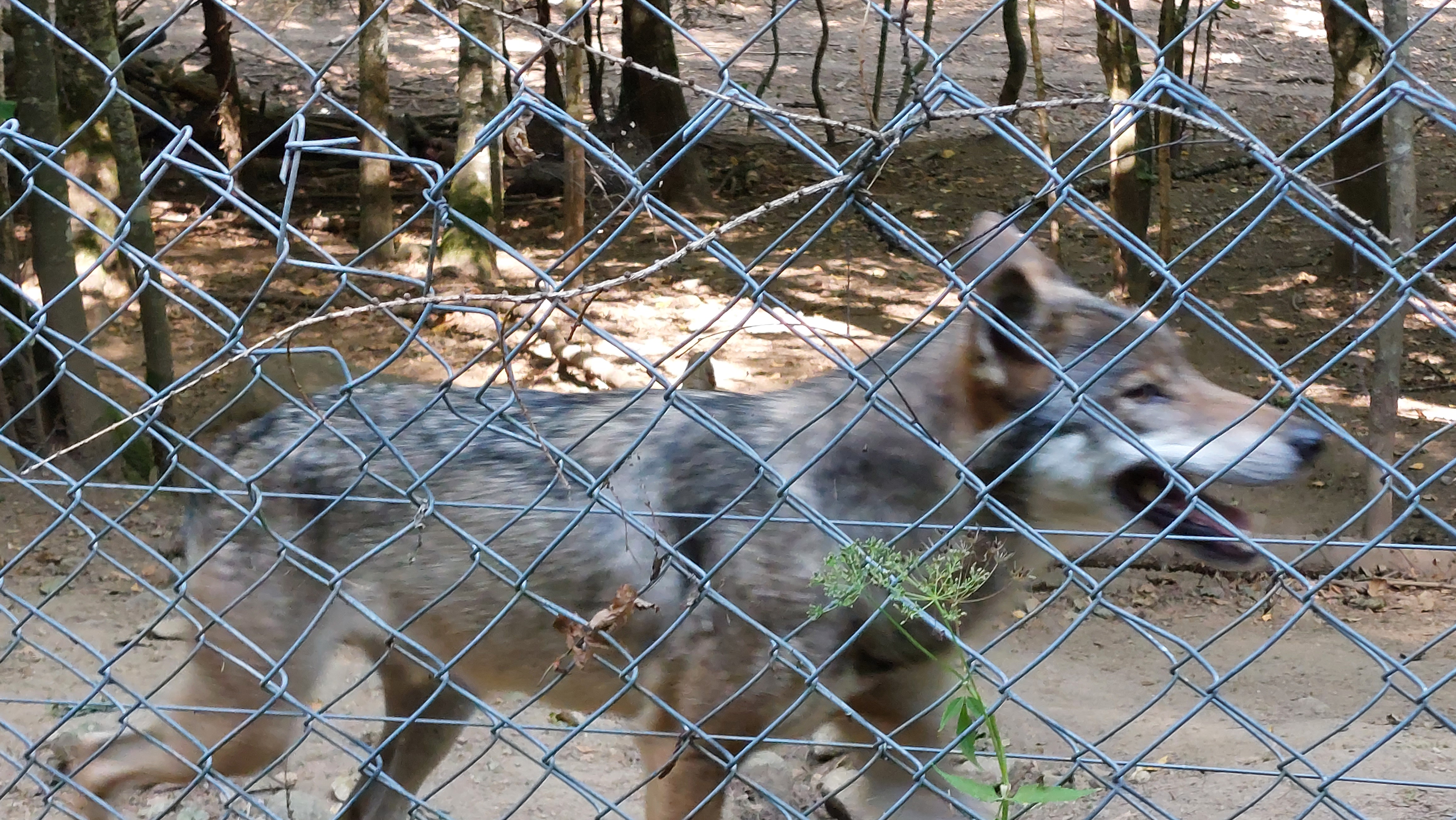 Photo n° 5 de l'avis de Stéphane.e fait le 14/08/2022 à 16:18
