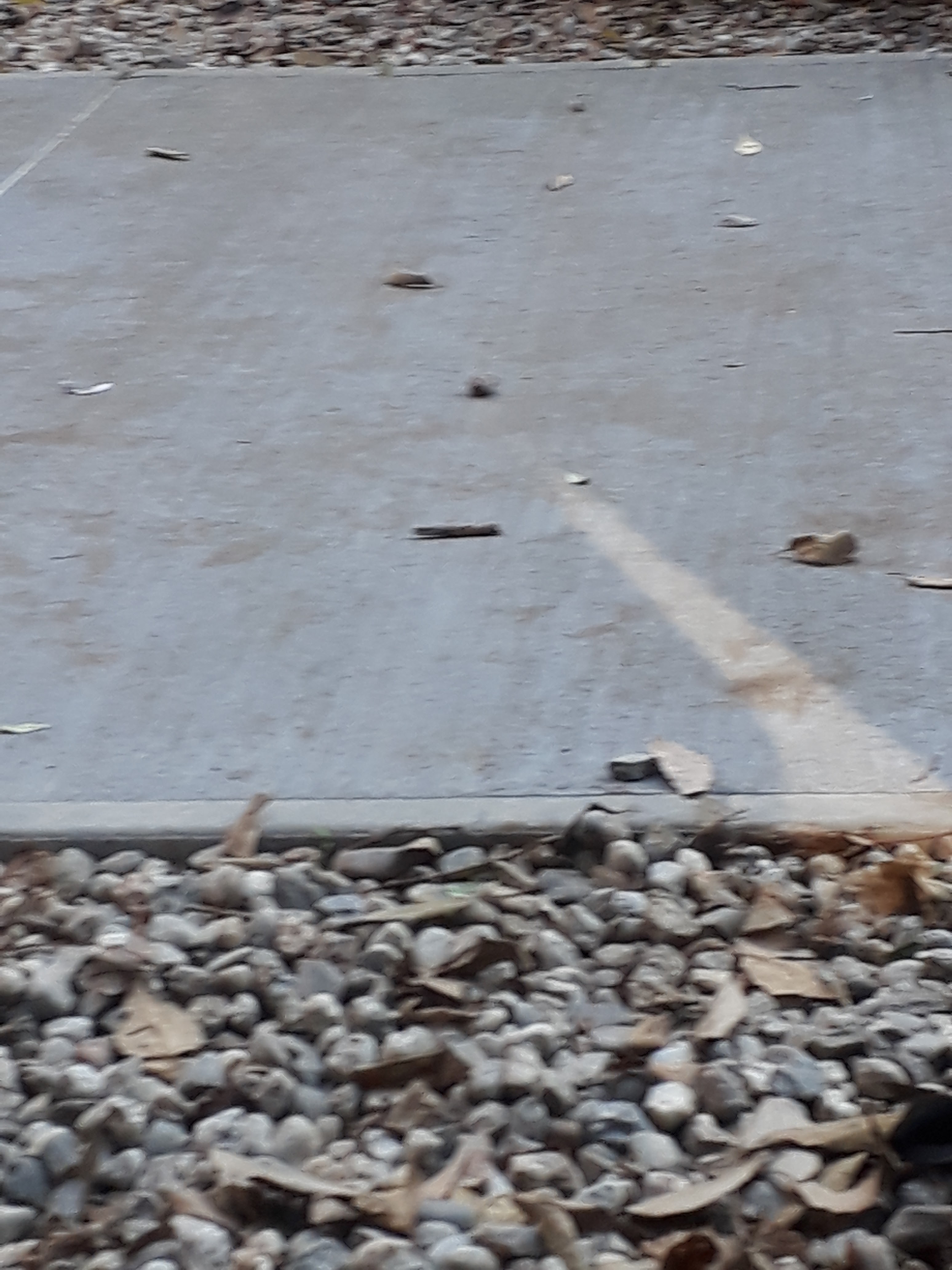 Photo n° 8 de l'avis de William.m fait le 11/12/2018 à 12:09