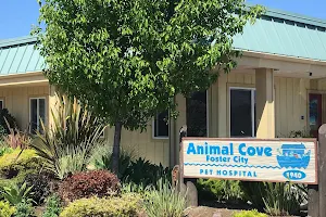Animal Cove Pet Hospital image