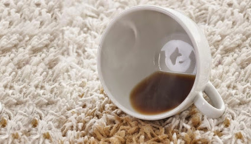 Carpet Cleaning Service «Elite Carpet Cleaning Service», reviews and photos, 29031 Glenarden St, Farmington Hills, MI 48334, USA