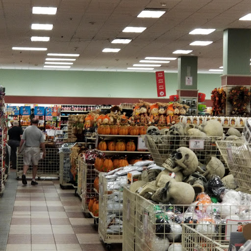 Home Goods Store «Christmas Tree Shops», reviews and photos, 393 N Central Ave, Hartsdale, NY 10530, USA