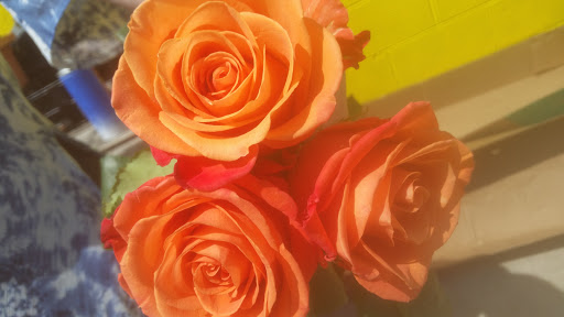 Florist «ACCENT FLORIST», reviews and photos, 4048 Rochester Rd, Troy, MI 48085, USA