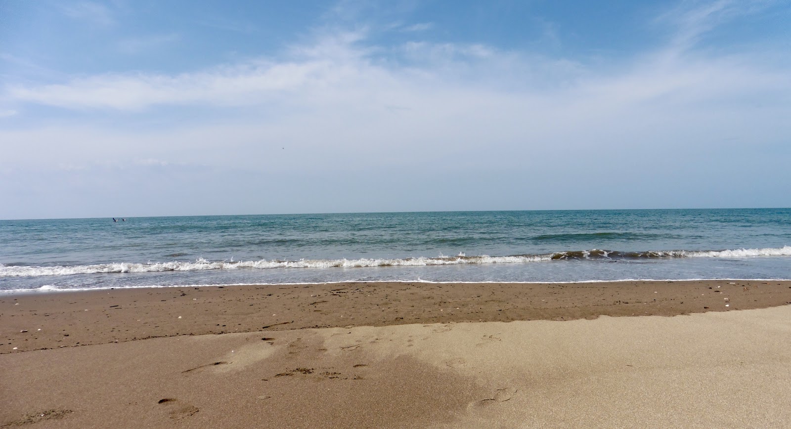Estero Beach'in fotoğrafı biraz temiz temizlik seviyesi ile