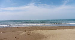 Estero Beach'in fotoğrafı biraz temiz temizlik seviyesi ile