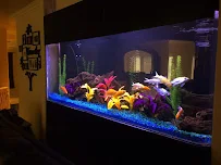 Coral Supply - Car repair in Chatsworth, CA, Simi Valley - Rated 4.6/5