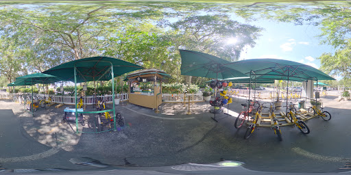 Golf Course «Celebration Golf Club», reviews and photos, 701 Golfpark Dr, Kissimmee, FL 34747, USA