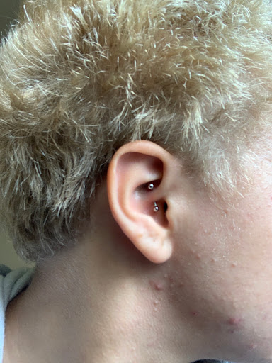 Tattoo Shop «New Life Tattoos», reviews and photos, 404 E Green St, Champaign, IL 61820, USA