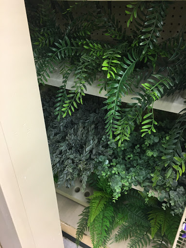 Craft Store «Hobby Lobby», reviews and photos, 995 N Bridge St, Chillicothe, OH 45601, USA