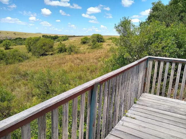 Opiniones de Mirador, Valle Eden en Tacuarembó - Museo