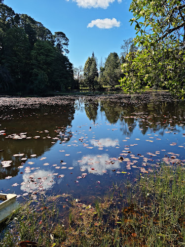 Laguna de Lotos - Valdivia