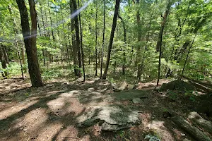 Litchfield State Forest image