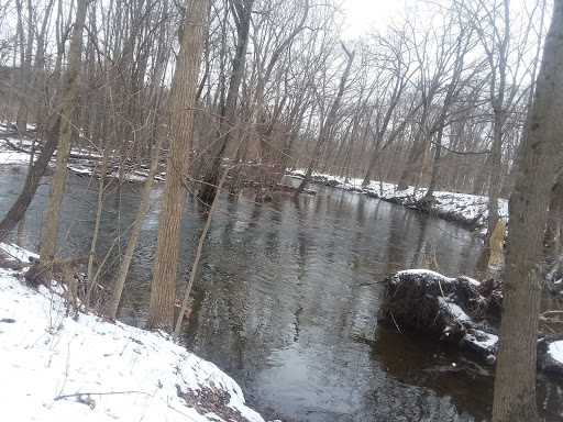 Nature Preserve «Leonard Preserve», reviews and photos, N Union St, Manchester, MI 48158, USA