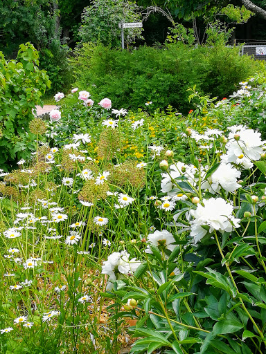 Vallila Community Garden