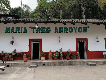 Finca Santa Maria 3 Arroyos - País, Apulco, 73688 Zacapoaxtla, Pue., Mexico