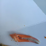 Photo n°1 de l'avis de Markus. fait le 01/08/2021 à 13:25 sur le  Frittodivino - Peschiera del Garda à Peschiera del Garda