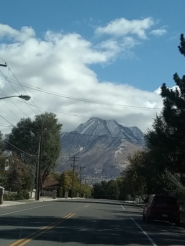 Kudzu Body Clinic 84107