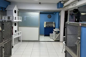 Taurus Veterinary Clinic image