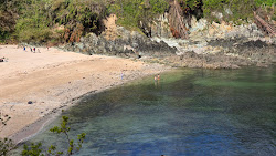 Foto von Plage de Pors Mellec wilde gegend