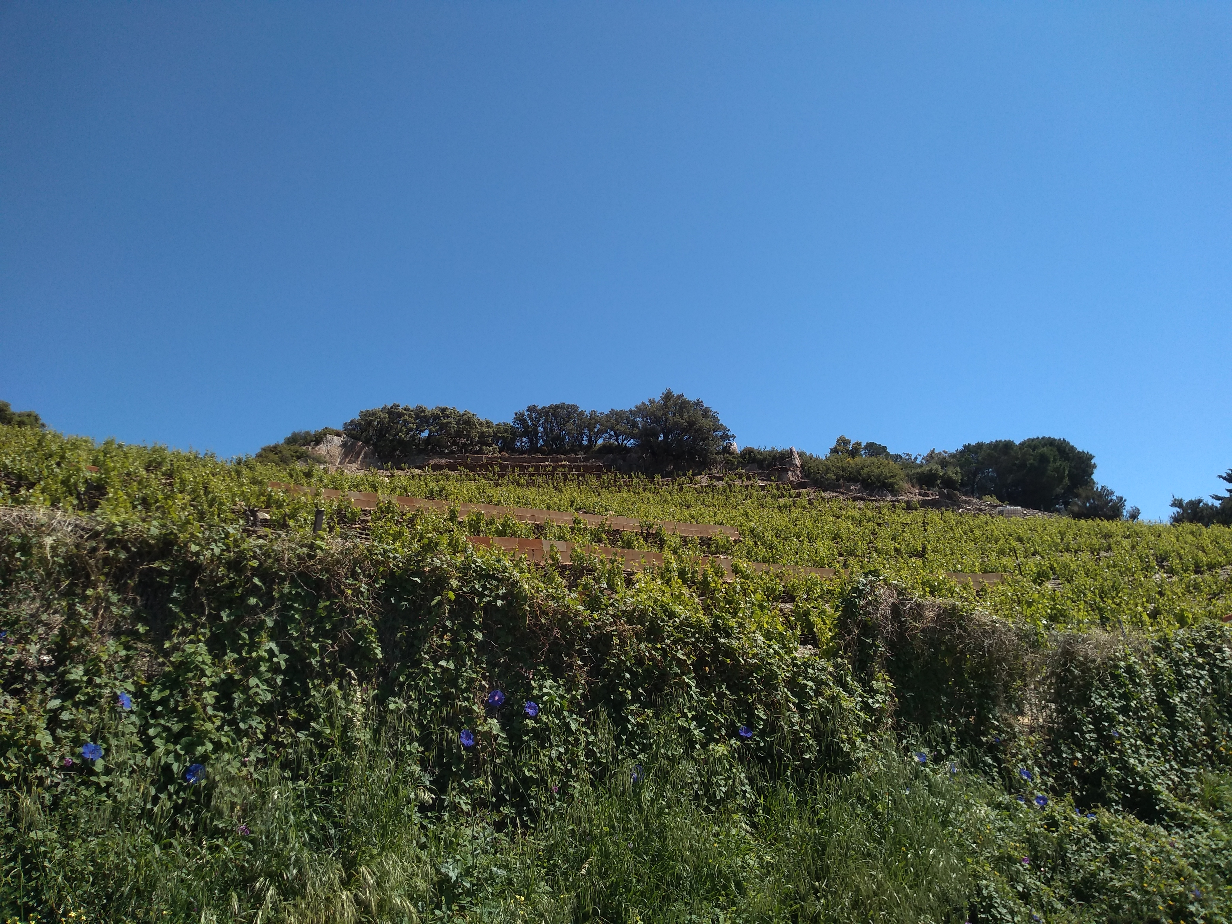 Photo n° 6 de l'avis de sambao.a fait le 15/05/2019 à 17:49