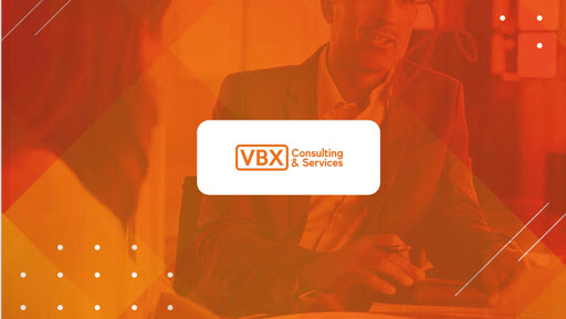 VBX Group Inc