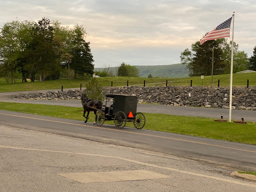 Grocery Store «Fort Valley Country Store», reviews and photos, 7091 Fort Valley Rd, Fort Valley, VA 22652, USA
